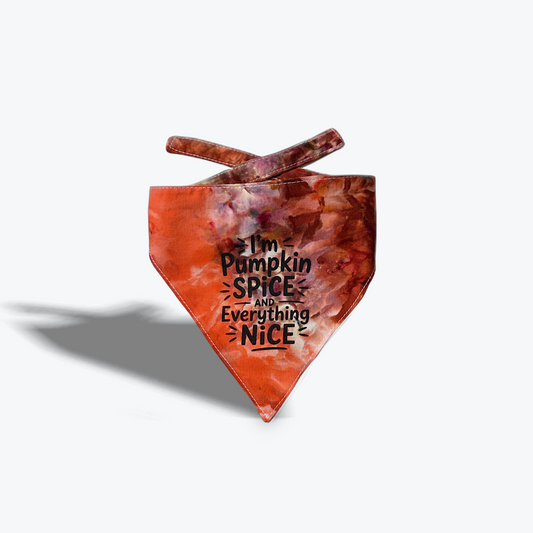 Handmade Pet Bandanna Pumpkin Spice