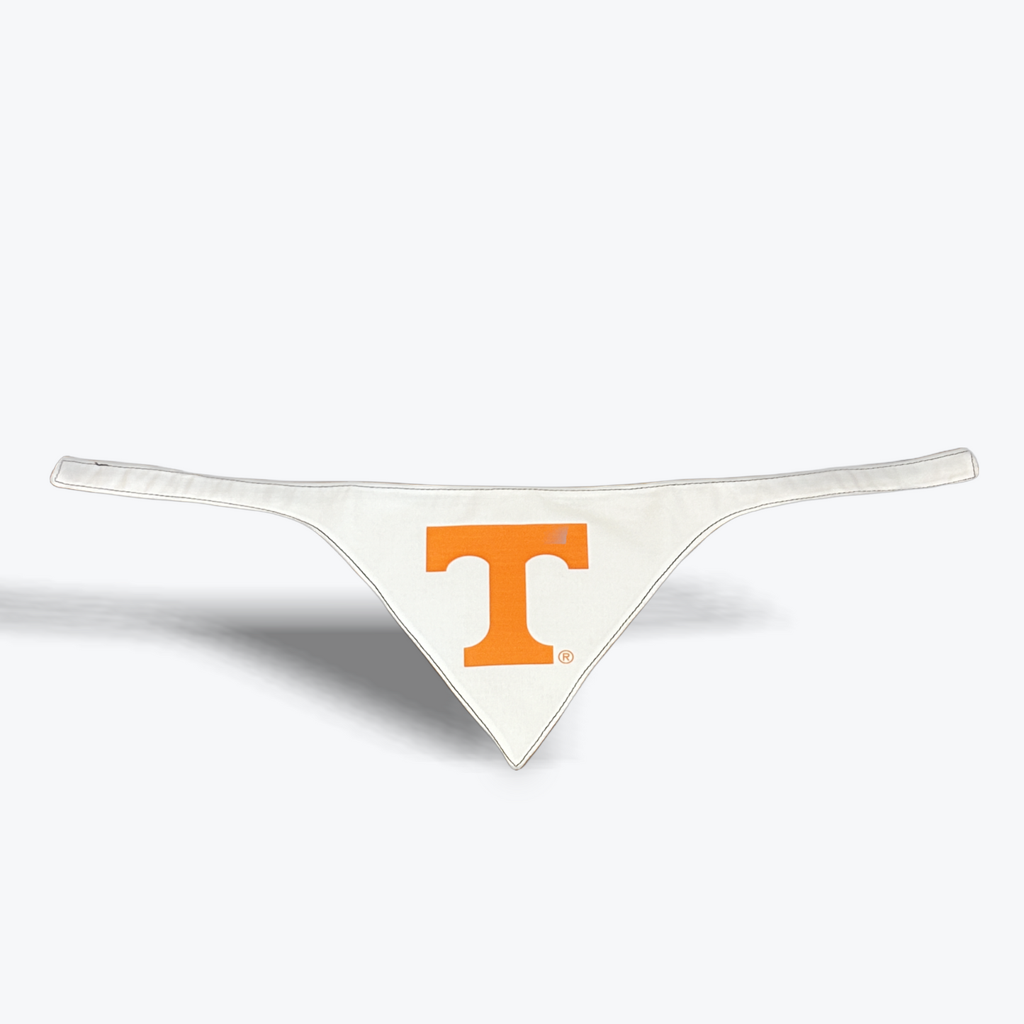 Handmade Pet Bandanna Power T white