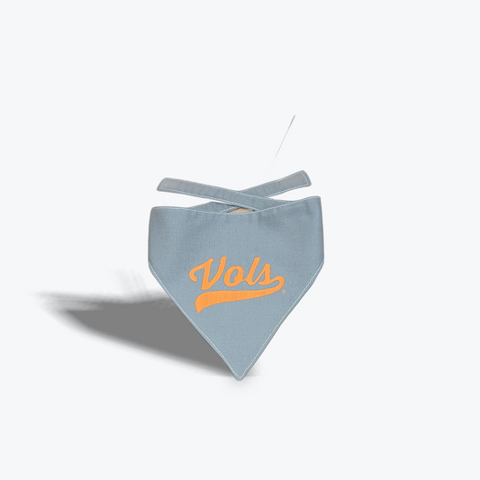Handmade Pet Bandanna Vols Script grey