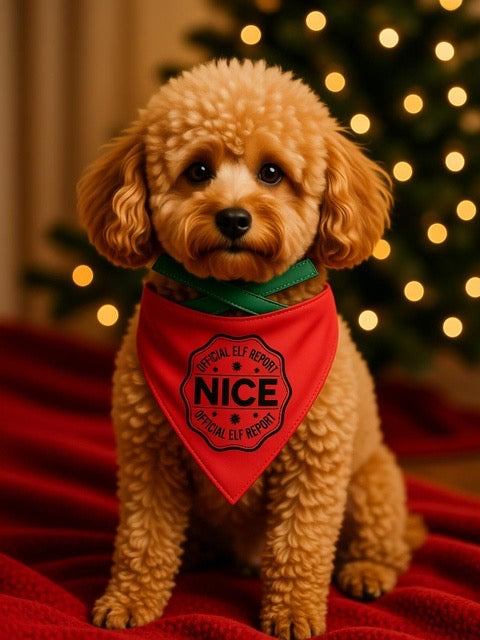 Handmade Pet Bandanna Reversible Naughty Nice