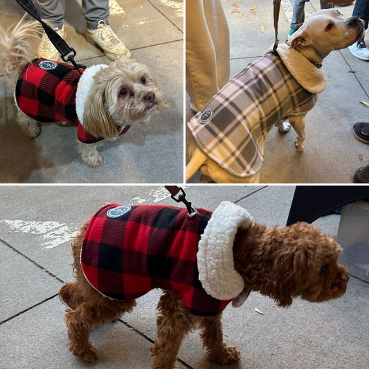 Handmade red buffalo plaid Sherpa-lined dog jacket by 7T Designs.
