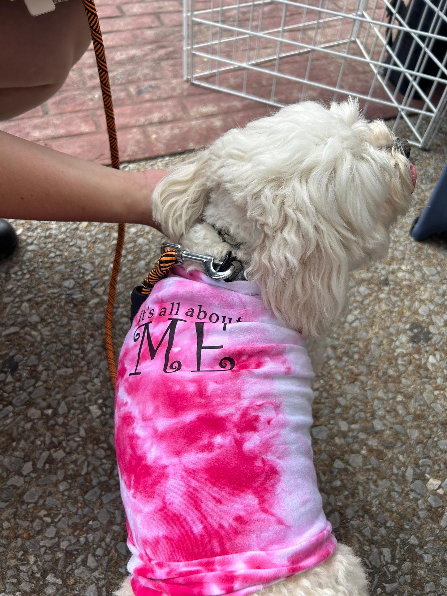 Custom-Fit Pet T Shirt  It's All About Me