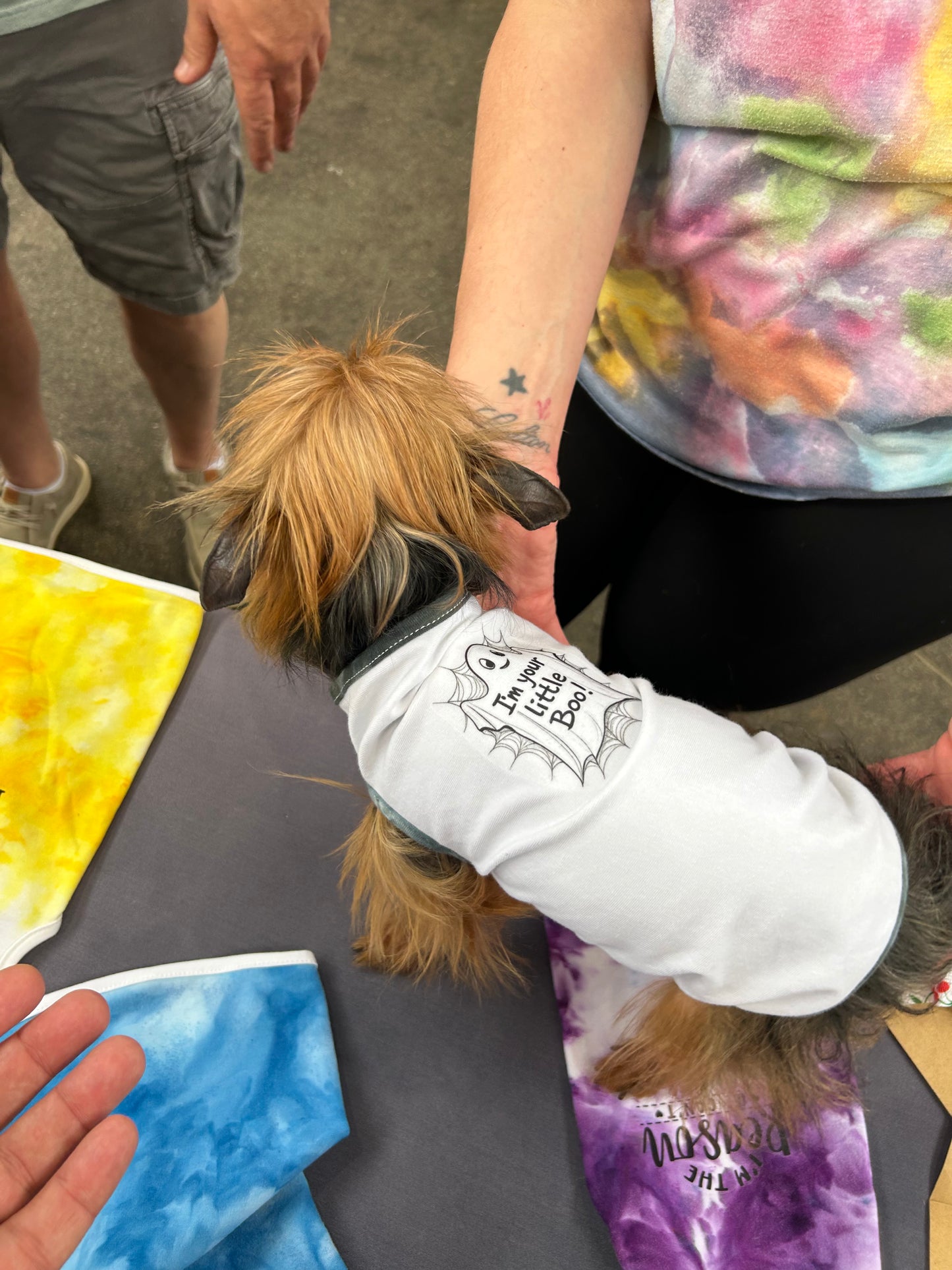 Custom-Fit Pet T Shirt  I'm Your Little Boo