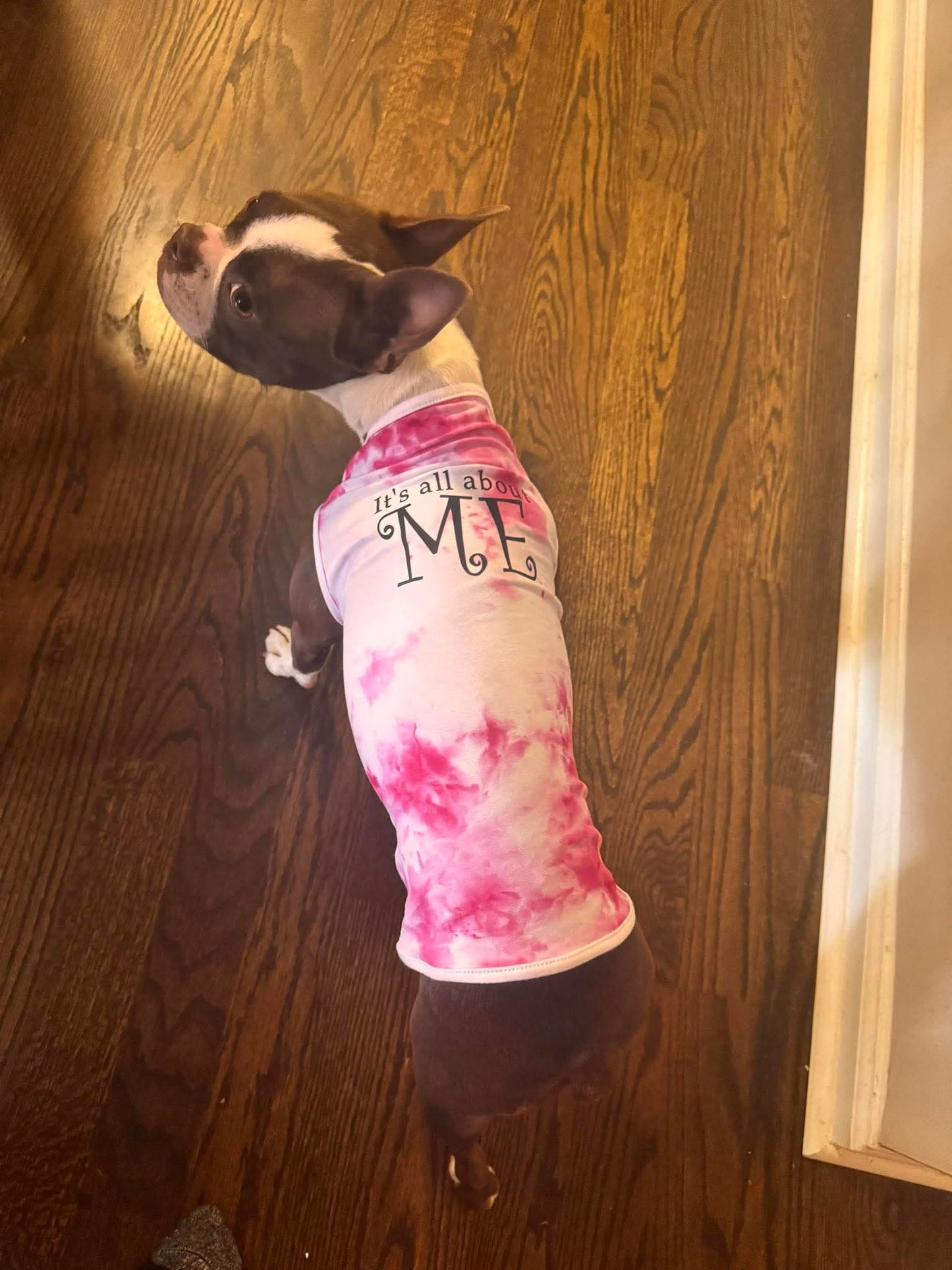 Custom-Fit Pet T Shirt  It's All About Me