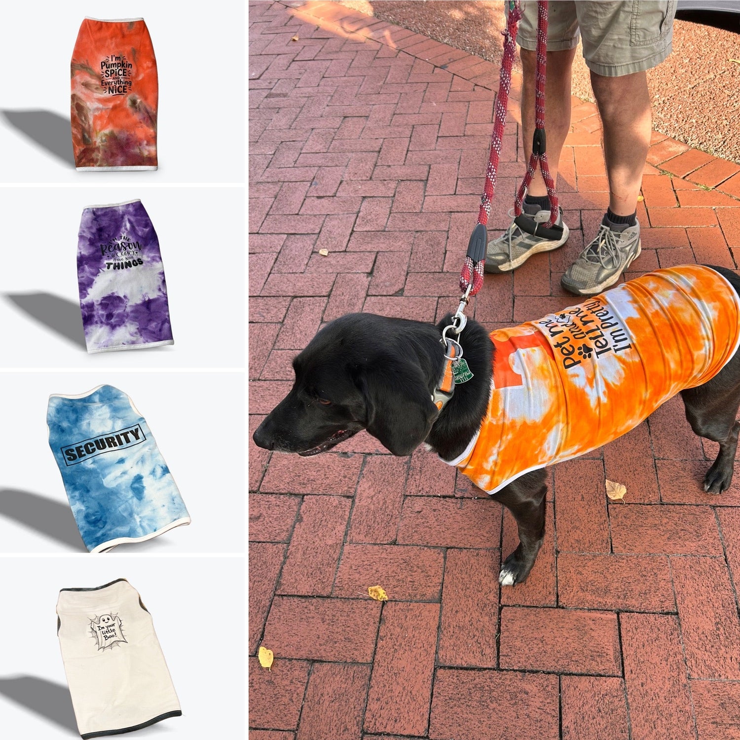 Pet T-Shirts