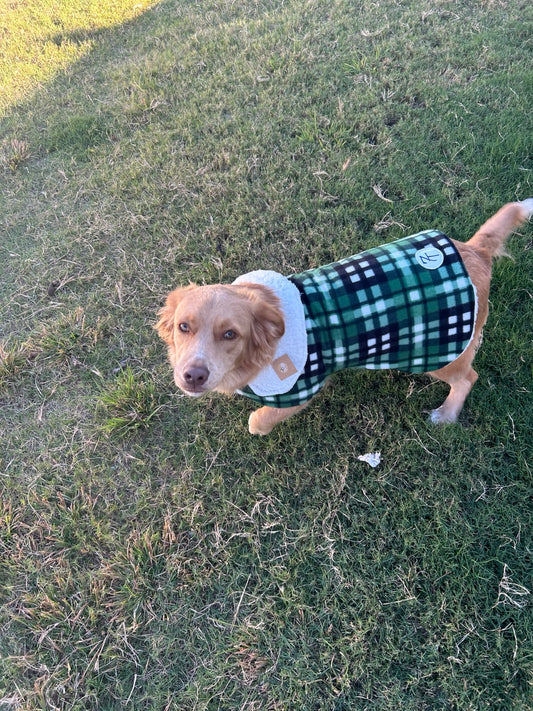 Dog wearing a handmade green plaid Sherpa-lined jacket by 7T Designs outdoors.