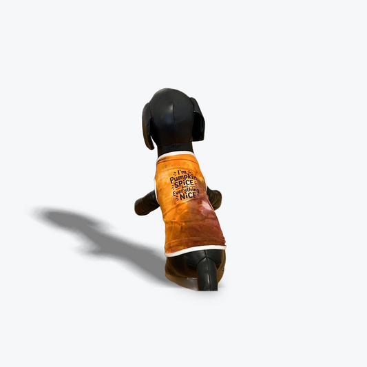 Custom-Fit Pet T Shirt  Pumpkin Spice and Everything Nice
