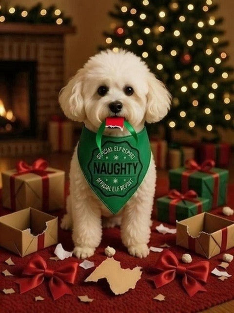 Handmade Pet Bandanna Reversible Naughty Nice