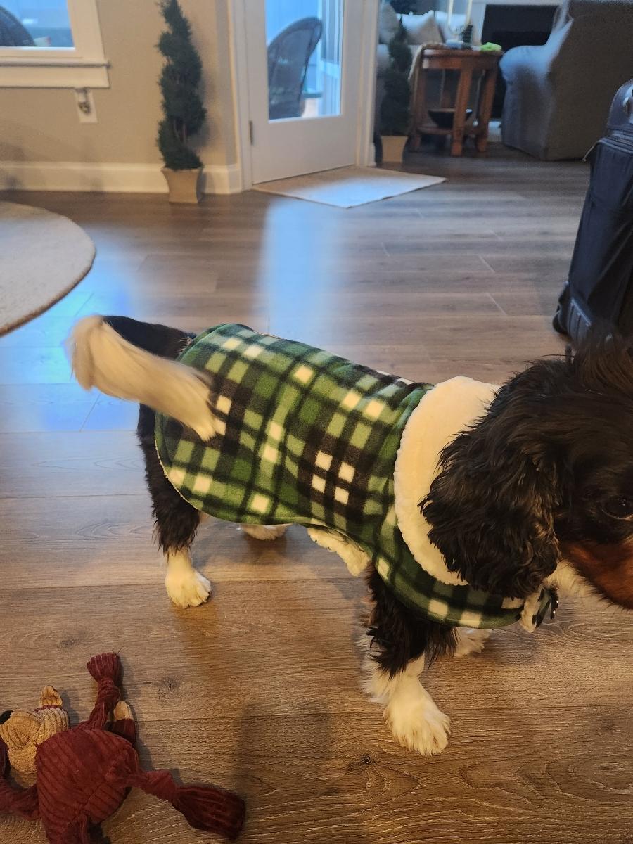 Sherpa lined Pet Jacket