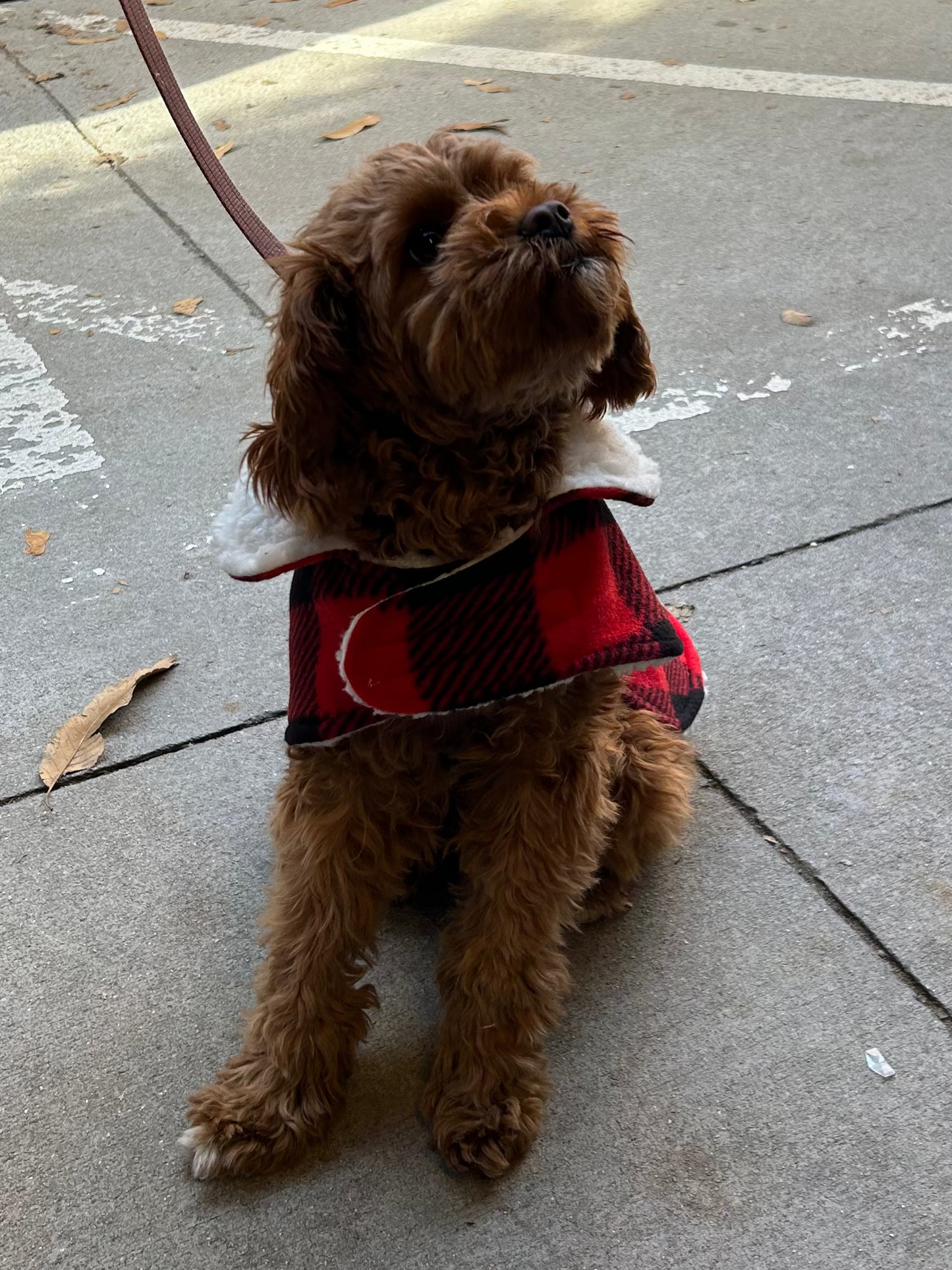 Sherpa lined Pet Jacket