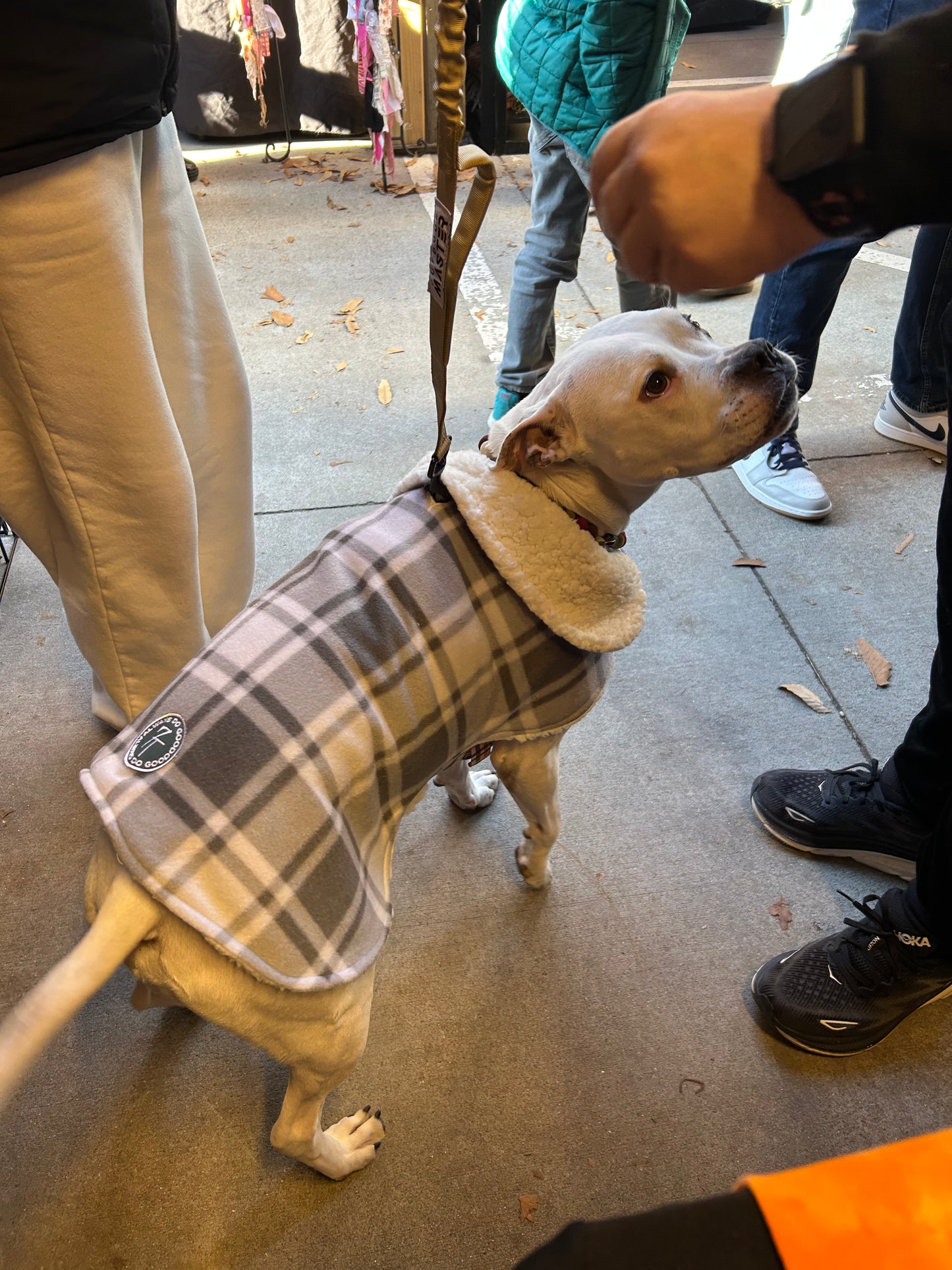 Sherpa lined Pet Jacket
