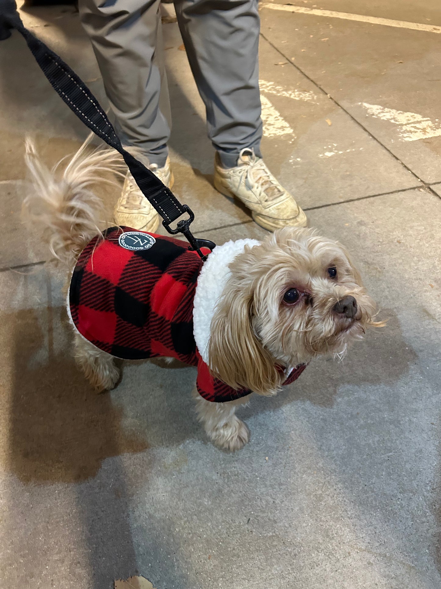 Sherpa lined Pet Jacket