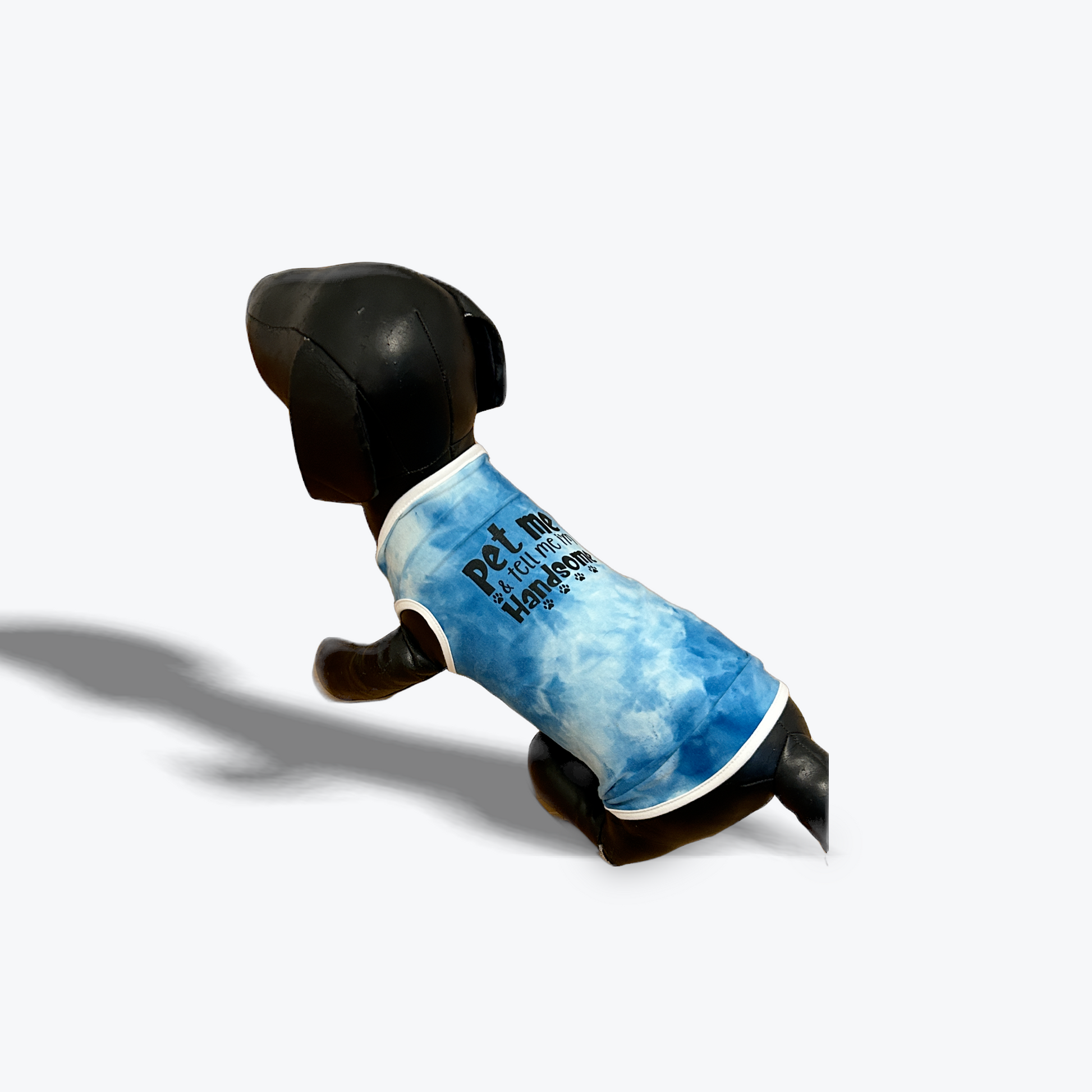 Small dog wearing “Pet Me and Tell Me I’m Handsome” custom fit dog t-shirt