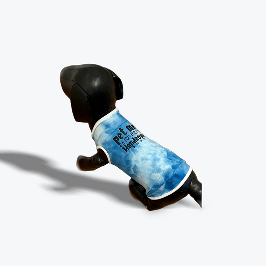 Small dog wearing “Pet Me and Tell Me I’m Handsome” custom fit dog t-shirt